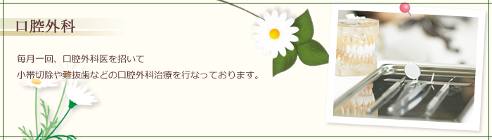 毎月一回、口腔外科医を招いて小帯切除や難抜歯などの口腔外科治療を行なっております。